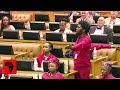 EFF Do NOT Celebrate Springboks In Parliament EFF Do NOT Celebrate Springboks In Parliament