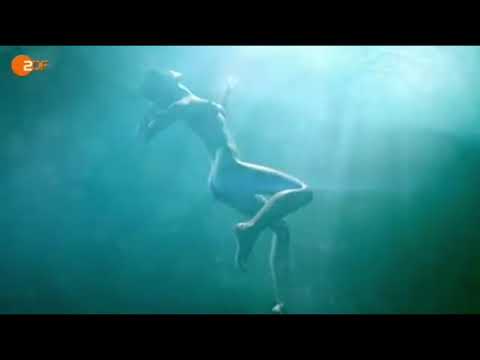 Die Geschichte von König Artus