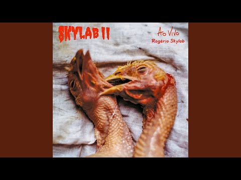 Música Suave - Rogério Skylab
