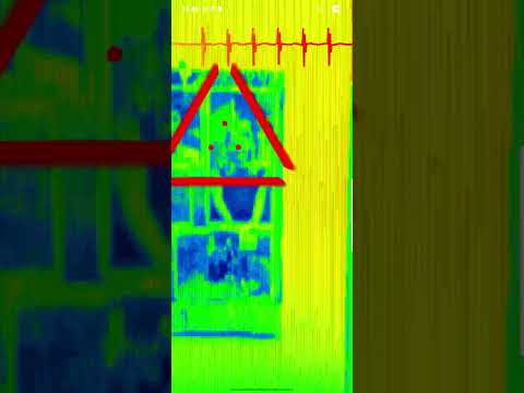 Predator Vision