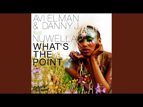 What's the Point (feat. Nuwella) (Seamus Haji Radio Edit)