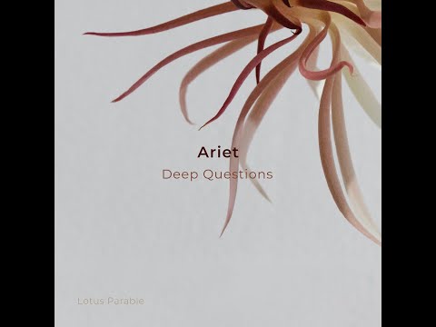 Indefinite Pitch PREMIERES. Ariet - Asasha [Lotus Parable]