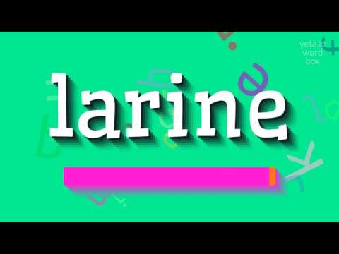 LARINE - How to say Larine?