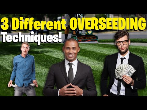 Fix an Ugly Lawn with Overseeding 3 Different OVERSEEDING Techniques! Spring or Fall Overseed guide