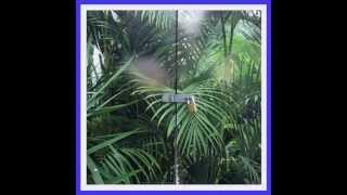 Joe Howe - Dorling Kindersley