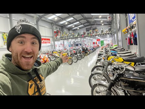 Massive collection worth MILLIONS!!!