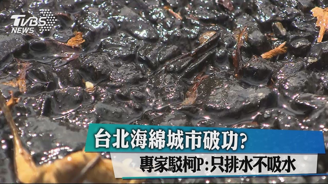 台北海綿城市破功? 專家駁柯P:只排水不吸水