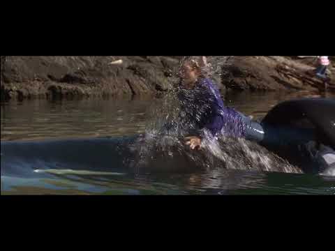 Free Willy The Adventure Home - Willy and Jesse