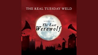 Cover art for Me and Mr wolf