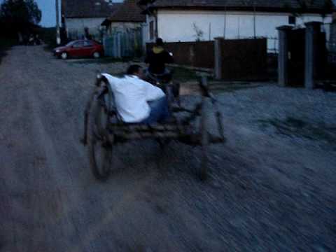 caravana dragostei din seusa:)))