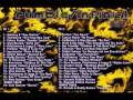 TURBULENCE - GIRL FROM NEW YORK - LAVENDA RIDDIM