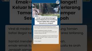 NEKAT BANGET! Emak-emak Keluar Mobil di Area Terlarang Taman Safari dan Lempar Sesuatu ke Jerapah