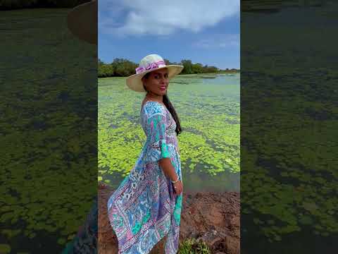 Kas Pathar | Kas Plateau | Satara | Maharashtra