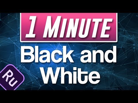 Premiere Rush CC How to Mute Part of Audio