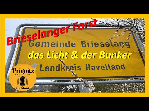 Brieselanger Forst das Licht und der Bunker.