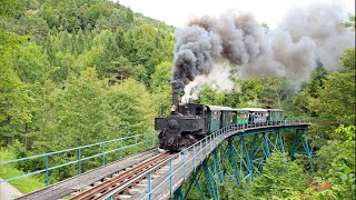 preview picture of video 'Die Ybbstalbahn 2014 - von Kienberg über Lunz nach Göstling'