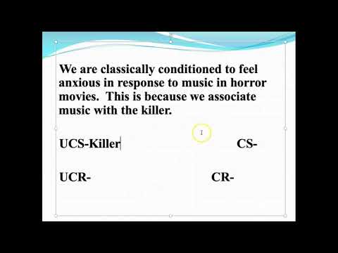 Einführung in die psychologischen Lerntheorien