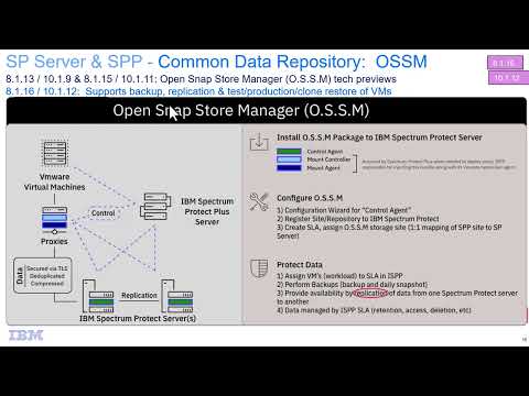 IBM Spectrum Protect 8.1.16 & Plus 10.1.12 OSSM VM backup – Demo