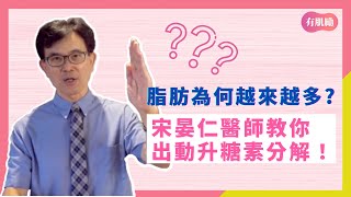 [問卦] 一日三餐是否非真的非必要