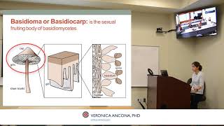 Fungi Classification