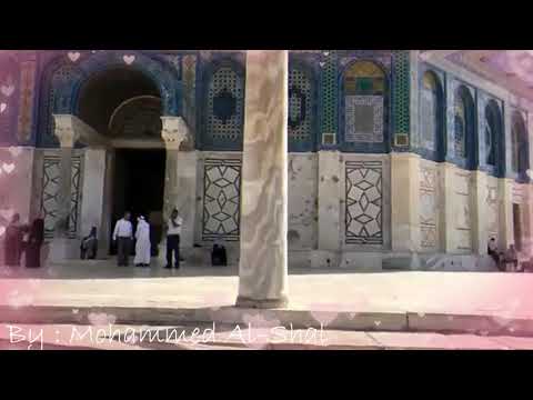 يا إمام الرسل 🌿🕊🕋🕌💚💚