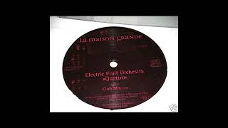 Electric Fruit Orchestra - Quattro (Afro Mix) 1997