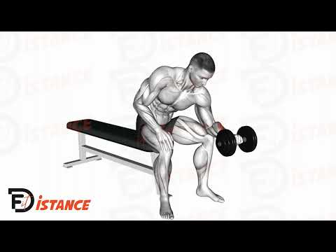 Curls avant-bras pronation - Exercice Curls avant-bras pronation en vidéo