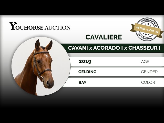 Cavaliere
