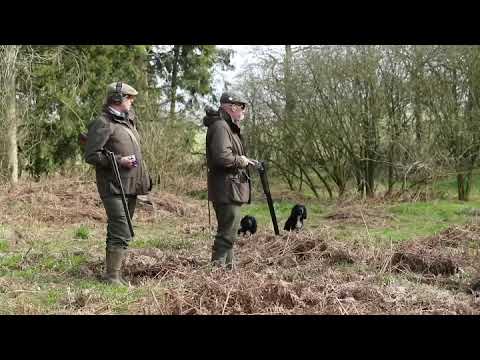 Driven Pheasant Shooting Instruction