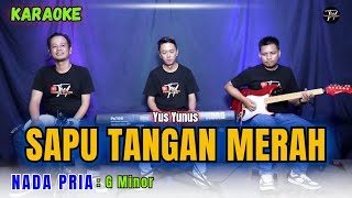 Download lagu SAPU TANGAN MERAH KARAOKE ( NADA PRIA ) mp3