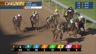 Ring The Bell Stakes -12/9/23