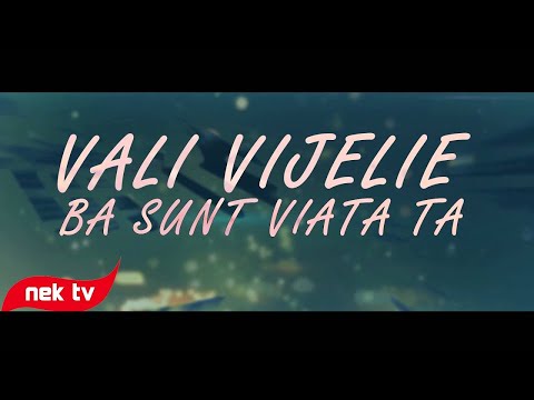 Vali Vijelie - Ba sunt viata ta [lyric video]