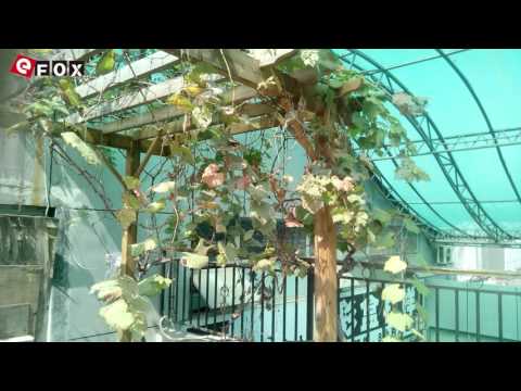 BLUBOO XTouch X500 Review efox.com.pt