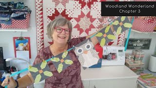 Is it time for the Owl Woodland Wonderland sew along