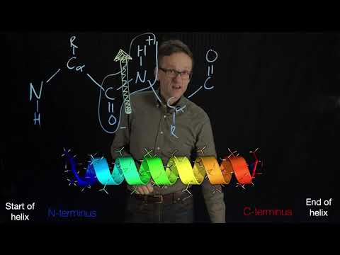 Lecture 04, concept 21: Alpha helix capping with charges