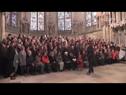 6. UTA-Treffen Naumburger Dom
