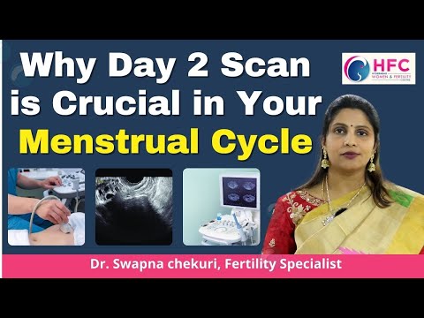 Importance of Day 2 Scan in Menstrual Cycle   || Best Fertility Centre || HFC