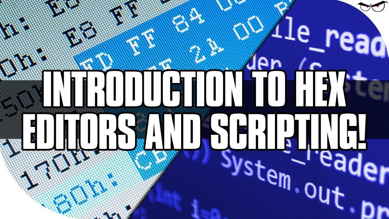Introduction to Hex Editors and Scripting