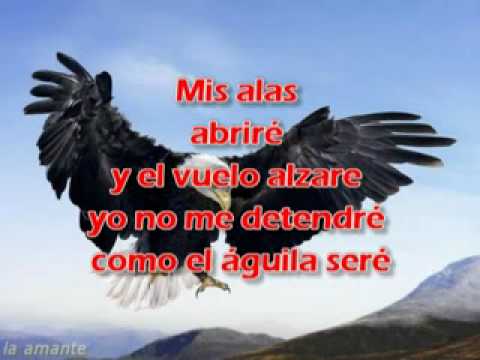 Aguila - Nancy Amancio