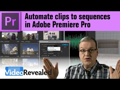 Organizing your media in Adobe Premiere Pro
