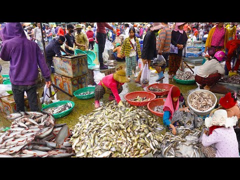 Ever Seen Fish & Seafood Distribution @ Kilo#9 ? Cambodian Market Distribution Site