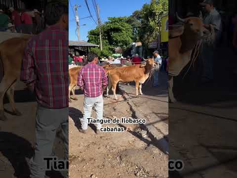 Ilobasco cabañas día de tiangues todos los viernes. EL Salvador 🙏🏻