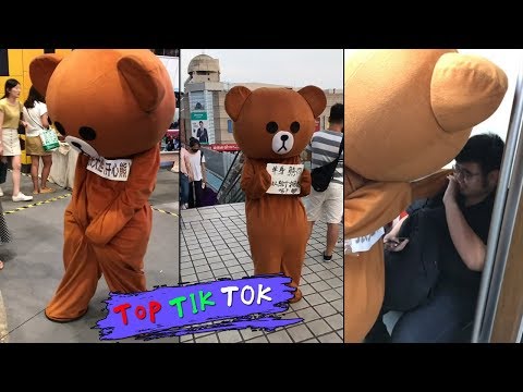 Lovely little bear everyday, TRY NOT TO LAUGH  !  Top Tik Tok memes in China,2018 P61