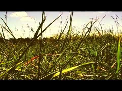 No more home, No more love