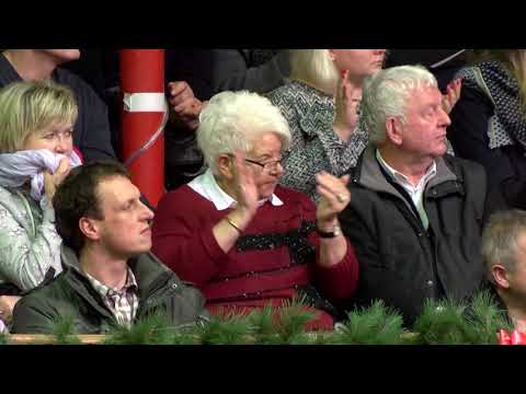 Zenon Hengstkollektion Englisch 2019