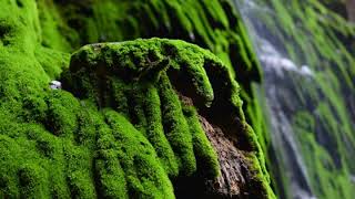 Download lagu Lagu Barat Terbaru 2017 & 2018 Terpopuler Saat Ini Lagu Barat Paling Enak Di Dengar mp3 Download lagu Lagu Barat Terbaru 2017 & 2018 Terpopuler Saat Ini Lagu Barat Paling Enak Di Dengar mp3