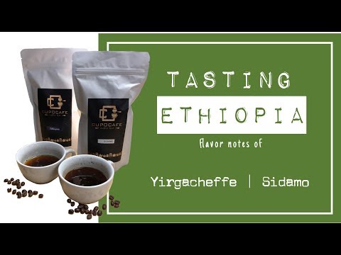 download lagu mp3 mp4 Ethiopian Coffee Tasting Notes, download lagu Ethiopian Coffee Tasting Notes gratis, unduh video klip Ethiopian Coffee Tasting Notes