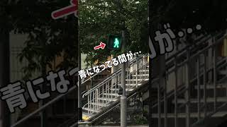 【フランス旅行🇫🇷】フランスの横断歩道がヤバかった😳#shorts