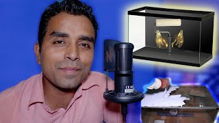 🔶Stop Spending Money on Aquarium Backgrounds!Try This DIY Solution Insteadpaint aquarium background