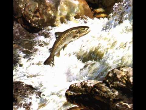 Le Twist de Schubert (Forellenquintett) - Jack Ary.wmv